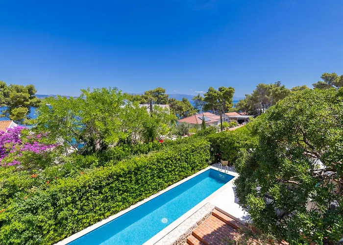 Gallus - Jelsa, Hvar *